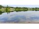 Scenic pond with ducks swimming adds to the community's charm at 103 Golf Club Dr, Longwood, FL 32779