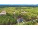 Expansive aerial view of a blue single-Gathering home nestled among tall trees and lush greenery at 13297 Sw 69Th Pl, Ocala, FL 34481