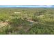 Aerial view of a home nestled among dense woodland, showcasing a private, serene environment at 13297 Sw 69Th Pl, Ocala, FL 34481