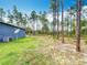 The backyard features mature pine tree coverage on an ample sized lot with the house and HVAC system in view at 13297 Sw 69Th Pl, Ocala, FL 34481