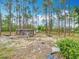 Backyard featuring a chicken coop, pine trees, and a sandy ground cover at 13297 Sw 69Th Pl, Ocala, FL 34481