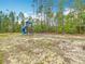 Community playground featuring blue slides and swings surrounded by tall pine trees at 13297 Sw 69Th Pl, Ocala, FL 34481