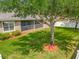 Landscaped backyard featuring a screened-in patio and a beautiful shade tree at 17146 Cypress Preserve Pkwy, Orlando, FL 32820