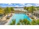 Full view of a community pool with clear water, palm trees, and lounge chairs near the lake at 1780 Southern Red Oak Ct, Ocoee, FL 34761