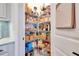 Walk-in pantry with custom shelving and ample storage space at 1780 Southern Red Oak Ct, Ocoee, FL 34761
