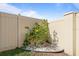 Small garden area with a young citrus tree and white gravel, enclosed by a painted fence at 4054 Silverstream Ter, Sanford, FL 32771