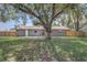 Well maintained lawn features a large tree at 4201 Chantelle Rd, Orlando, FL 32808