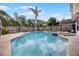 Wide shot of a beautiful backyard pool and spa surrounded by a fence and trees at 479 Cidermill Place, Lake Mary, FL 32746