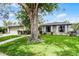Exterior view of the house showing the large tree, manicured lawn, and neutral color at 715 Roughbeard Rd, Winter Park, FL 32792