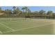 Well-maintained community tennis courts with green surfaces, nets, and surrounding greenery at 15465 Heron Hideaway Cir, Winter Garden, FL 34787