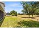 Expansive backyard with lush green grass, mature trees, and a partially screened pool area at 15485 Sandfield Loop, Winter Garden, FL 34787