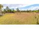 Open backyard featuring a well-maintained lawn, mature trees, and perimeter fencing at 18920 Overton St, Orlando, FL 32833