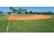 Community baseball field with well-maintained grass, palm trees and manicured greenery at 2460 Formax Dr, Orlando, FL 32828