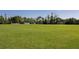 Expansive green soccer field surrounded by mature trees offering ample space for recreational activities at 2460 Formax Dr, Orlando, FL 32828