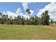 Expansive backyard featuring lush green grass and mature trees, perfect for outdoor activities at 2524 Harmonia Hammock Rd, Harmony, FL 34773