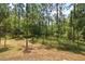 The backyard features natural beauty, including mature trees, a fire pit area, and plenty of privacy at 3441 Hickory Creek Rd, Deltona, FL 32738