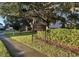 Street view of a sign that reads 'Egret Hammock' near a sidewalk and a mature tree at 408 Egret Place Dr, Winter Garden, FL 34787