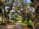 Scenic walking path lined with trees with hanging moss at 408 Egret Place Dr, Winter Garden, FL 34787