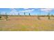 Large grassy backyard featuring freshly planted trees, offering a serene outdoor space for recreation and relaxation at 415 Overpool Ave, Davenport, FL 33896