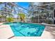 Refreshing pool area with palm trees, screen enclosure, and ample sunlight at 786 Oxford Dr, Davenport, FL 33897