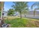 Well-maintained backyard with lush green grass and mature trees, offering a serene outdoor space at 822 Sheen Cir, Haines City, FL 33844