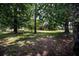 View of the property's backyard featuring a grassy area with beautiful trees at 10108 Matchlock Dr, Orlando, FL 32821