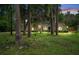 Charming brick home surrounded by mature trees and lush landscaping at 324 Old Mill Rd, Enterprise, FL 32725