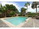 Refreshing pool with a brick patio, framed by tropical foliage and swaying palm trees at 3317 Dormer Ct, Winter Park, FL 32792