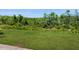 Expansive backyard with lush green grass and natural tree growth at 4191 Holstein St, St Cloud, FL 34772