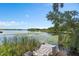 View from dock of lake and surrounding greenery at 4509 Patricia Ann Ct, Orlando, FL 32839