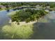 Picturesque aerial view capturing the serene lake, island vegetation, and clear turquoise waters at 4509 Patricia Ann Ct, Orlando, FL 32839