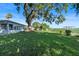 Lush backyard with a large tree and views of the lake and a private dock at 7046 Treasure Island Rd, Leesburg, FL 34788
