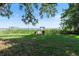 Green backyard leading to a private dock and a tranquil lake at 7046 Treasure Island Rd, Leesburg, FL 34788