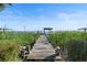 Wooden walkway to covered dock surrounded by tall reeds, offering peaceful lake access at 7046 Treasure Island Rd, Leesburg, FL 34788