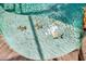 In-ground pool featuring decorative turtles and pristine, clear, refreshing-looking water at 1585 Maidencane Loop, Oviedo, FL 32765