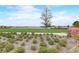 Scenic community view of the lake with grassy lawns, mature trees and shrubbery and a walking path at 18964 Rawson St, Orlando, FL 32827