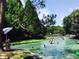 Community swimming area featuring clear spring waters, lifeguard and lush vegetation at 2658 Palmetto Ridge Cir, Apopka, FL 32712