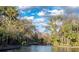 Scenic view of a serene pond surrounded by lush trees, reflecting a tranquil and picturesque natural landscape at 2658 Palmetto Ridge Cir, Apopka, FL 32712