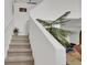 Carpeted staircase featuring decorative plants and a white wall at 2658 Palmetto Ridge Cir, Apopka, FL 32712
