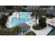 Aerial view of a luxurious community pool with palm trees at 27127 Stoney Brook Dr, Leesburg, FL 34748