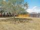 The backyard features a mature tree, a spacious grassy area, and a wooden fence at 2818 Irondale St, Deltona, FL 32738