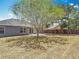 A spacious backyard features a mature tree, a grassy area, and a gray house exterior at 2818 Irondale St, Deltona, FL 32738