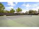 Well-maintained tennis courts enclosed with a dark fence and surrounded by lush trees under a sunny sky at 9567 Meadow Hunt Way, Winter Garden, FL 34787