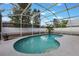 Screened-in pool surrounded by a concrete deck and lush landscaping at 1010 Sugarberry Trl, Oviedo, FL 32765