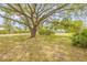 Landscaped front yard with mature tree offering shade and curb appeal to this charming home at 106 Pine Tree Dr, Ormond Beach, FL 32174