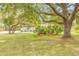 Spacious front yard with mature trees provides a scenic backdrop for the single-story house at 106 Pine Tree Dr, Ormond Beach, FL 32174