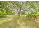 Expansive front yard with a majestic tree creating a park-like setting and providing ample shade at 106 Pine Tree Dr, Ormond Beach, FL 32174