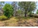 Lush backyard with mature trees and green grass, offering ample space for outdoor activities and relaxation at 1108 Gibson St, Leesburg, FL 34748