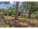 Spacious backyard with mature trees and a screened-in porch offers a private outdoor retreat at 1108 Gibson St, Leesburg, FL 34748