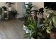 Inviting interior featuring an abundance of lush plants, hardwood floors, and natural light at 1118 Ne 17Th Ave, Ocala, FL 34470